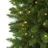 Nearly Natural Pre-Lit LED Slim Green Mountain Pine Artificial Christmas Tree Clear Lights -Northlight Christmas Store GUEST d671ae86 a4b2 48e0 8248 36d689fd7f44 1