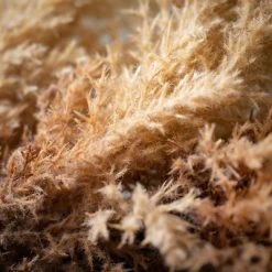 Sullivans Artificial Reed Garland Cream 6"H