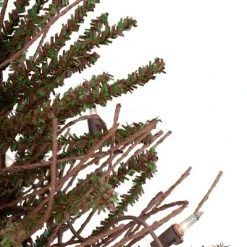 Northlight 1.5' Prelit Artificial Christmas Tree Warsaw Twig in Burlap Base - Clear Lights -Northlight Christmas Store GUEST d71ae8e4 c64d 4cbf a153 38cff424ba1d