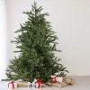 Northlight 7.5' Prelit Artificial Christmas Tree LED Oregon Noble Fir- Warm White Lights -Northlight Christmas Store GUEST da0a0b5e f3cc 4305 8592 b7afeac22b73 1