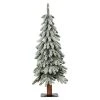3ft Haute Decor Pre-Lit Lightly Flocked Alpine Artificial Christmas Tree -Northlight Christmas Store GUEST da20e5ae 24c7 4436 bdd2 61d37b212831