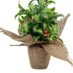 Northlight 8" Iced Artificial Christmas Holly Berry Plant in Burlap Base -Northlight Christmas Store GUEST da3a5b85 87a0 4fa7 8437 cc4db65ffdeb