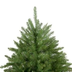 Northlight 6.5' Rockwood Pine Artificial Christmas Tree, Unlit -Northlight Christmas Store GUEST daac49e1 9374 4928 9344 f1057cdb5e2d