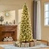 HOMCOM Pre-Lit Snow-Dipped Artificial Christmas Tree with Realistic Branches, LED Lights, Pine Cones, Red Berries and Tips -Northlight Christmas Store GUEST dcaf9899 a098 4c0a adb5 0f44b764a734