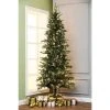 LuxenHome 7Ft Pre-Lit LED Artificial Slim Fir Christmas Tree 1 LuxenHome 7Ft Pre-Lit LED Artificial Slim Fir Christmas Tree -Northlight Christmas Store GUEST dcdaa474 4e34 49ac 8b68 cd6c577fce1f