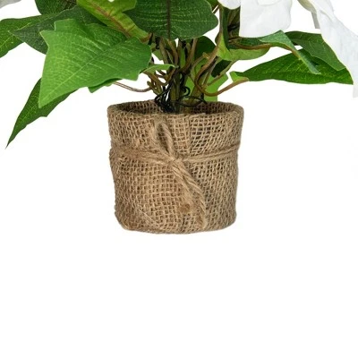 Northlight 11.75" LED Artificial White Poinsettia Potted Plant - Clear Lights 3 Northlight 11.75" LED Artificial White Poinsettia Potted Plant - Clear Lights
