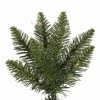 Vickerman Durham Pole Pine Artificial Christmas Tree -Northlight Christmas Store GUEST dd0f8f2b 7b06 4aec ab4a 33c9ad1a7497