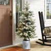 LuxenHome 3Ft Pre-Lit LED Artificial Flocked Fir Christmas Tree with Metal Pot -Northlight Christmas Store GUEST de3a3e66 a02c 46e5 9c4f a5c06a1f1b32