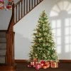 National Tree Company First Traditions 6' Pre-Lit LED Virginia Pine Artificial Christmas Tree White Lights