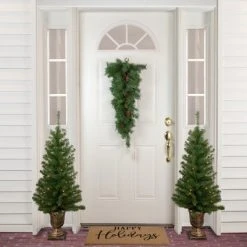 Northlight 30" Black River Pine Artificial Christmas Swag with Pine Cones, Unlit