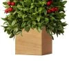 Haute Decor 18" Unlit Boxwood Artificial Christmas Tree with Berries in Wood Pot - Haute Décor -Northlight Christmas Store GUEST df511a5e 3b92 440c be9f 285ef09ba6c0