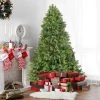 Northlight Real Touch™️ Pre-Lit Full Noble Fir Artificial Christmas Tree - Clear Lights - 6.5' -Northlight Christmas Store GUEST e0caa292 2f89 4485 ac47 01011a722348