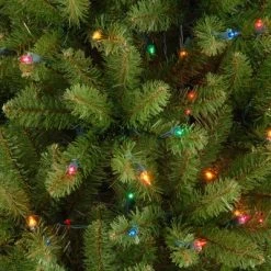National Tree Company 7.5 ft Artificial Pre-Lit Slim Christmas Tree, Green, Kingswood Fir, Multicolor Lights, Includes Stand -Northlight Christmas Store GUEST e117f9a9 01dc 4827 93fa 94c2b701b61e 1