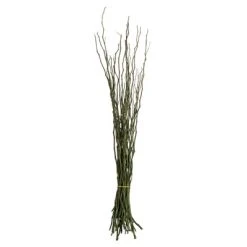 Vickerman 34-40" Moneta Branches, Dried 8oz -Northlight Christmas Store GUEST e2b8adff 39ec 41b8 b2a5 2276094f13db
