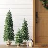 3pc Unlit Downswept Alberta Spruce Mini Artificial Christmas Trees with Burlap Base - Wondershop™ -Northlight Christmas Store GUEST e574d9df d202 4613 92d2 339f00ddf263