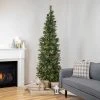 Northlight 7' Pre-Lit Yorkshire Pine Pencil Artificial Christmas Tree, Clear Lights -Northlight Christmas Store GUEST e8e9fa9b 3a98 4a18 9fc8 3b3678a7c5cd