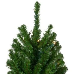 Northlight 7' Pre-Lit Medium Alpine Artificial Christmas Tree, Clear Lights 10 Northlight 7' Pre-Lit Medium Alpine Artificial Christmas Tree, Clear Lights -Northlight Christmas Store GUEST ea28152d 282e 4eca b7eb a9b6ec220bf1