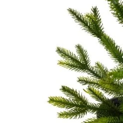 Northlight 2' Potted Pine Medium Artificial Christmas Tree – Unlit -Northlight Christmas Store GUEST eaf5b24f 201b 4699 8575 8c6811ccd542