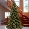 National Tree Company 12 ft Pre-Lit Artificial Giant Medium Christmas Tree, Green, Tiffany Fir, White Lights, Includes Stand -Northlight Christmas Store GUEST eb02a9f2 d27c 4b50 9e02 f6ee8e9eaf9b
