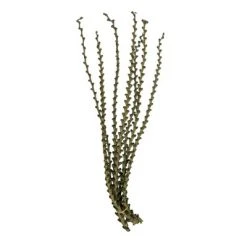 Vickerman Ladder Branches, Dried -Northlight Christmas Store GUEST eb372d8a 4d04 4f2f 9604 6c8f30ad0f45