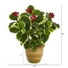 Nearly Natural 14-in Variegated Holly Leaf Artificial Plant in Ceramic Planter (Real Touch) -Northlight Christmas Store GUEST ec3204ae 8acc 4b56 bc7d ab784cc60814