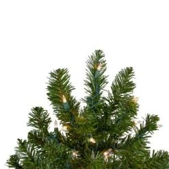 Northlight 2' Pre-Lit Medium Canadian Pine Artificial Christmas Tree - Clear Lights -Northlight Christmas Store GUEST ed84dca2 2ce4 4b43 bb35 d97f54460e7c