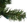 Northlight 9' x 10" Prelit LED Battery Operated Canadian Pine Artificial Christmas Garland - Clear Lights -Northlight Christmas Store GUEST eee71c34 9397 4468 8ef1 47b788c8c95d