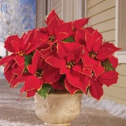 Collections Etc. Collections Etc Glitter Poinsettia Bushes - Set of 3 11 X 9 X 20.25