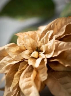 Sullivans Artificial Poinsettia Stem 25"H Gold Flowers