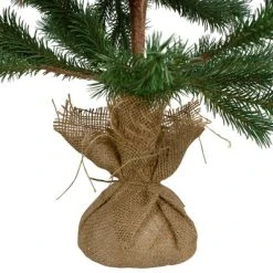 Northlight 3' Ponderosa Pine Artificial Christmas Tree with Jute Base – Unlit -Northlight Christmas Store GUEST f395c0d4 cffe 4d19 bf8e a8a8731c6e7f
