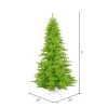 Vickerman Lime Fir Artificial Christmas Tree -Northlight Christmas Store GUEST f3dc009a ebb8 4fc8 8b14 37f24d4e3bae