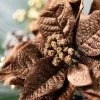 Sullivans Artificial Brown Poinsettia Stem Multicolor 32"H -Northlight Christmas Store GUEST f4191ede 0215 426c 91aa 5130287a684a