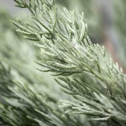 Sullivans Artificial Long Pine Stem Green 29"H