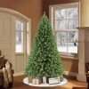 6.5ft Puleo Pre-Lit Northern Fir Artificial Christmas Tree Clear Lights 2 6.5ft Puleo Pre-Lit Northern Fir Artificial Christmas Tree Clear Lights -Northlight Christmas Store GUEST f65488c4 c0f7 461d 95ec 7e89ee8a091c