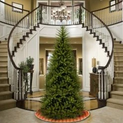 National Tree Company Unlit Full Dunhill Fir Artificial Christmas Tree 11 National Tree Company Unlit Full Dunhill Fir Artificial Christmas Tree -Northlight Christmas Store GUEST f8a571b6 ae31 40b6 98f0 7ffe37559d11