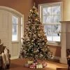 7.5ft Pre-Lit Full Glitter Pine Tree Artificial Christmas Tree - Puleo -Northlight Christmas Store GUEST f8e3a19f be5b 4fad 9542 f31e695ebe34