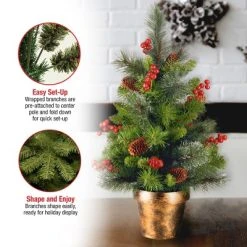 National Tree Company 2 ft Unlit Artificial Mini Christmas Tree, Green, Crestwood Spruce, with Pine Cones, Berry Clusters, Frosted Branches -Northlight Christmas Store GUEST f94e6a7c 266e 49d9 bec0 fcd58c3d2b4d
