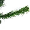 Northlight 4' Colorado Spruce Full Artificial Christmas Tree, Unlit -Northlight Christmas Store GUEST f9ac5ce9 72c6 411d 8c32 fb1b6e4cf013