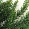 Northlight 2' Unlit Artificial Christmas Tree Medium Buffalo Fir -Northlight Christmas Store GUEST faaa9927 5607 4c46 9ee6 f7502c95dad9