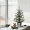 2ft Puleo Pre-Lit Flocked Tabletop Artificial Christmas Tree in Metal Pot Clear Lights 1 2ft Puleo Pre-Lit Flocked Tabletop Artificial Christmas Tree in Metal Pot Clear Lights -Northlight Christmas Store GUEST fc7b6642 2f82 40b9 be61 3f819cea6895
