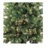 Northlight 7' Prelit Artificial Christmas Tree Yorkville Pine Pencil - Clear Lights -Northlight Christmas Store GUEST fd52a858 4ea9 470e 83fb e0c4126b4304