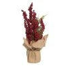 Transpac Foam 16 in. Red Christmas Berry Tree -Northlight Christmas Store GUEST fd55941c 1c92 41a9 bdf8 478def7b46fd