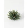 Sullivans Artificial Frosted Arborvitae Orb 7"H Green
