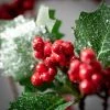 31"H Sullivans Berry And Holly Spray; Red -Northlight Christmas Store GUEST fddb507d fbec 442e 94b7 b7d20b3bf082