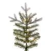 Vickerman Artificial Frosted Douglas Fir Christmas Tree