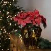 Northlight 14.5" Dark Pink Artificial Christmas Poinsettia with Gold Wrapped Base -Northlight Christmas Store GUEST ffcf3b47 dbc5 40fe bb87 07a9eadd7c83