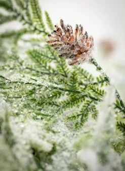 Sullivans Frosted Fern & Cone Artificial Stem 21"H Green