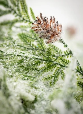 Sullivans Frosted Fern & Cone Artificial Stem 21"H Green 3 Sullivans Frosted Fern & Cone Artificial Stem 21"H Green